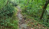 Tocht Stappen Chamarande - Lardy - Le Lièvre d'Or - Photo 13