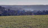 Tour Wandern Bouillon - Rochehaut 211221 - Photo 1