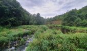 Tour Wandern Saint-Hubert - rando arville 13/08/2020 - Photo 15