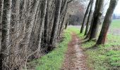 Tour Zu Fuß Querfurt - Hermannseck-Lodersleben - Photo 3