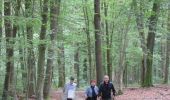Trail Walking Havelange - Failon - Somal - Photo 2
