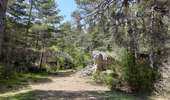 Tour Wandern Saint-Pierre-des-Tripiers - Les arcs de St Pierre  - Photo 4