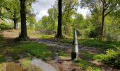 Tour Zu Fuß Bleiberg - Kattekopf - Photo 8