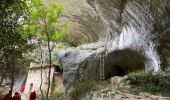 Randonnée Marche Monieux - Gorges de la Nesque - Photo 6