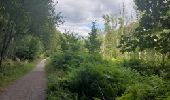 Excursión Senderismo La Hulpe - Domaine Solvay (La Hulpe) - Forêt de Soignes - Photo 8