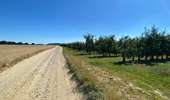 Trail Walking Dalhem - Le grand tour de Dalhem - Photo 16