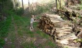 Tour Zu Fuß Stoumont - GrWandArd12: Rahier de groene hoogten tussen Ambleve en Lienne - Photo 3