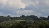 Excursión A pie Ascheffel - Wanderroute 7: Tanne, Brekendorfer Forst - Photo 2