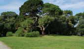 Tocht Stappen Saint-Brevin-les-Pins - St Brevin les pins - Photo 1