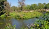 Tour Wandern Gropello Cairoli - CR_Francigena_BD_15_Gropello-Cairoli_Pavie_20190912 - Photo 1