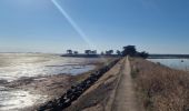 Tocht Stappen Barbâtre - Jeun et Rando J5 - Passage du gois et réserve naturelle - Photo 8