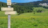 Tocht Stappen Fillière - ronceveau au col du freu 24 juin 19 - Photo 2