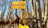 Tocht Stappen Aix-les-Bains - MONT DE CORSUET: FORET DE CORSUET - GROTTE DES FEES via belvédère et croix de Corsuet - Photo 3