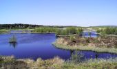 Tour Zu Fuß Unknown - Bølling Sø rundt - Photo 2