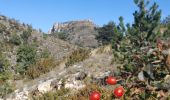 Trail Walking Mévouillon - montagne du Buc - Photo 2