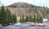 Tocht Te voet Bad Tabarz - Tabarz - Felsental - Großer Inselberg (Gelbes Quadrat) - Photo 5