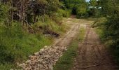 Trail Walking Anse-Bertrand - Habitation Mahaudiere-grand Portland - Photo 1