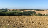 Excursión Senderismo La Louvière-Lauragais - La Louvière Lauragais: 2819 - Photo 1