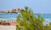 Trail Walking Calvi - Calvi Citadelle et plages - Photo 6