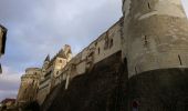 Randonnée Marche Amboise - Amboise - variante PR Hors des sentiers battus - 13.2km 125m 2h45 - 2023 12 20 - Photo 6