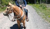 Percorso Equitazione Métairies-Saint-Quirin - rond pré baronnie château Turquestein la forêt  - Photo 6