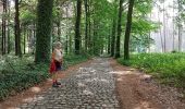 Trail Walking Ottignies-Louvain-la-Neuve - 2020-05-21 IR226 Rofessart 20 Km de GR Rando - Photo 1