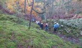 Trail Walking Fontainebleau - vert galant 25 novembre 2022  - Photo 6