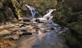 Trail On foot Aywaille - AY20 Roches Crahay - Photo 2