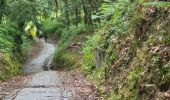 Trail Walking Caldas de Reis - Caldas Padron  - Photo 4