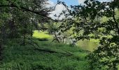 Randonnée Vélo électrique Wellin - Froidlieu-Eprave par le ravel - Photo 3