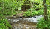 Trail Walking Gedinne - Vencimont 050624 - Photo 18