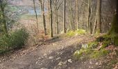 Tour Wandern Stablo - Stavelot- Chemin des source  14 Km - Photo 10