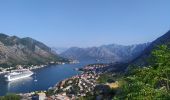 Trail Walking Unknown - Kotor - Photo 13