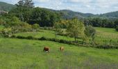 Tour Zu Fuß Aboim da Nóbrega e Gondomar - Trilho de Terras da Nóbrega - Photo 3