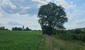 Trail Walking Neupré - A la découverte de la Roche aux Faucons 🥾 - Photo 4