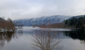 Tocht Stappen Xonrupt-Longemer - Le tour du lac de longemer  - Photo 5