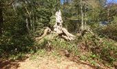 Tour Wandern Saint-Léger-sous-Beuvray - 190920-Morvan-3 - Photo 6