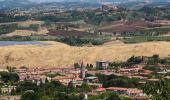 Excursión A pie Casciana Terme Lari - Percorso ad anello - Casciana Terme - Photo 10