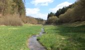 Excursión A pie Forst Aura - Roter Schmetterling, Rundwanderweg Emmerichsthal - Photo 1