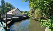 Randonnée Marche Chamarande - Autour de Chamarande - Photo 10