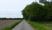 Trail On foot Willebroek - Vekielpad - Photo 5