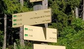 Tocht Stappen Arâches-la-Frasse - randonnée en forêt, les Carroz, Araches, la Frasse - Photo 5