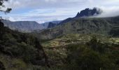 Trail Walking La Possession - Marla Cilaos - Photo 8