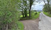 Trail Walking Theux - Hodbomont 29 km - Photo 9