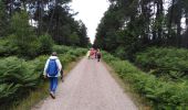 Trail Walking Canéjan - lestonnat - Photo 1