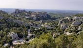 Excursión Senderismo Les Baux-de-Provence - autour des baux - Photo 13