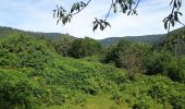 Excursión Senderismo Rimbach-près-Masevaux - Les deux lacs - Photo 13