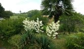 Trail Walking Cardesse - CARDESSE Autour du piemont  reco le 20/06/2022 le matin   3288849 - Photo 3