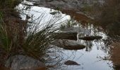 Trail Walking Roquebrune-sur-Argens - La Bergerie - Piste des Clapiers - Bastide Abbe - Photo 2