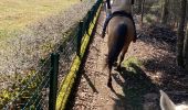 Trail Horseback riding Raon-l'Étape - Yogo Claude tivio kaline - Photo 8